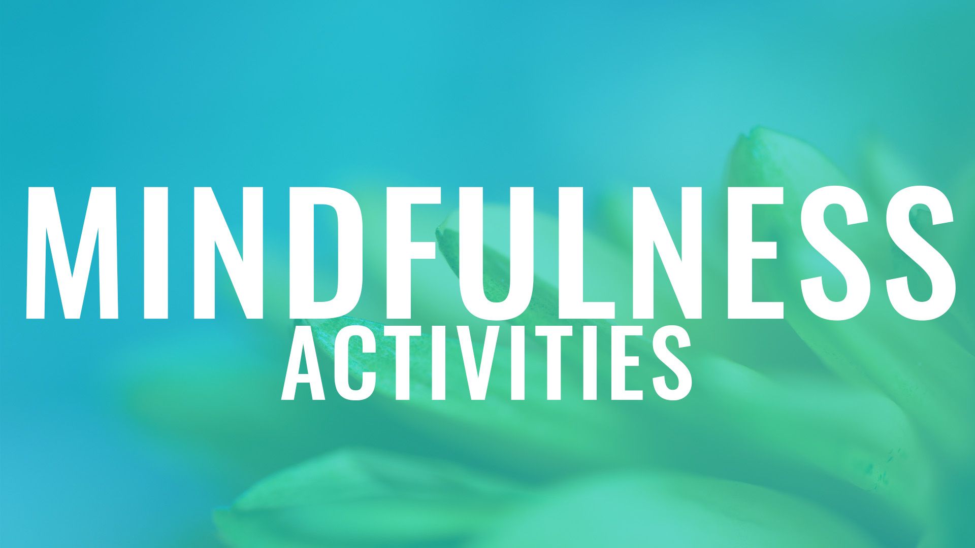 Children's mindfulness activities with Well Ed Wellbeing Program for Schools